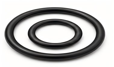 RGD Resistant FFKM O-Ring